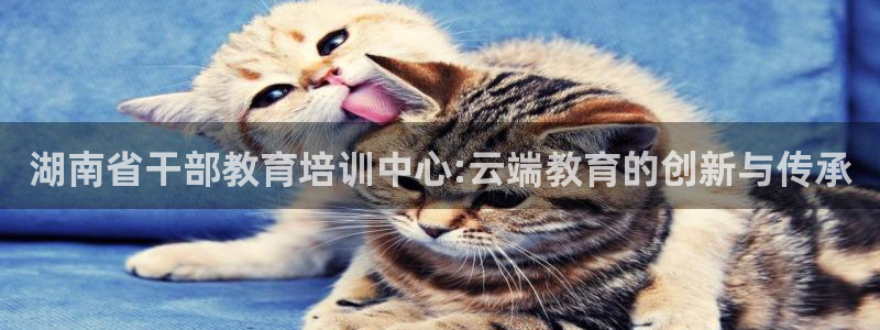 jdb游戏爆分规律
