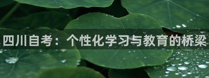 JDB电子游戏飞鸟派对