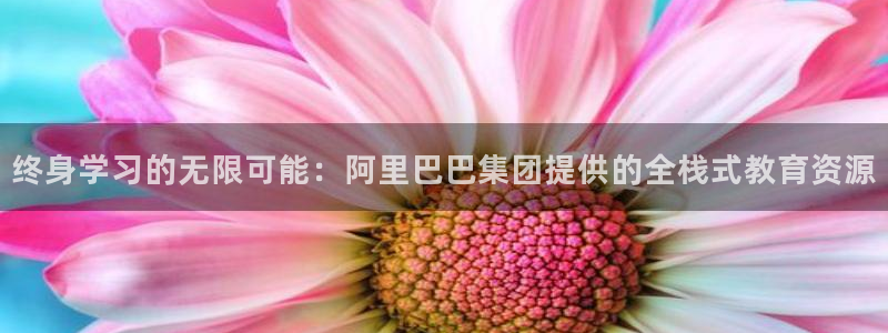 jdb电子平台官方网址