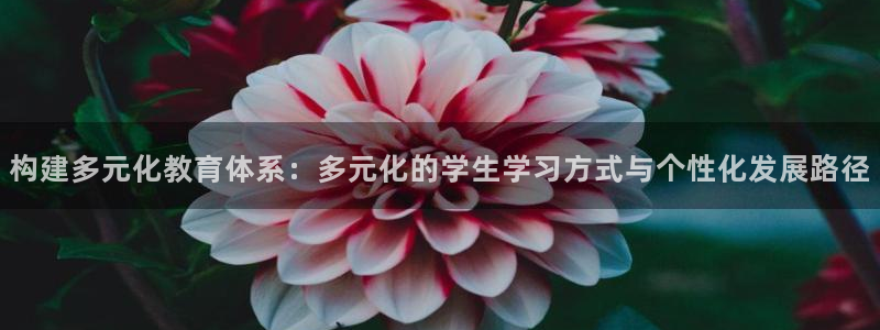 jdbapp下载
