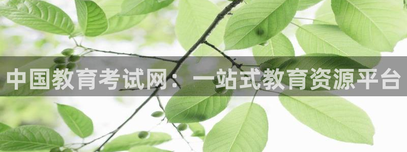jdb五龙捕鱼哪里可以玩
