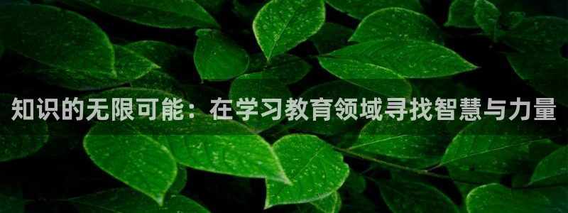 jdb台湾黑熊破解