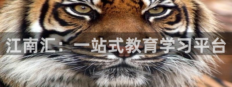 电子游艺jdb金鸡报喜