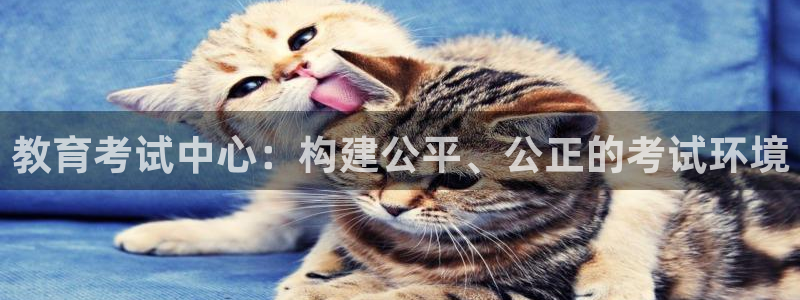 jdb电子体验