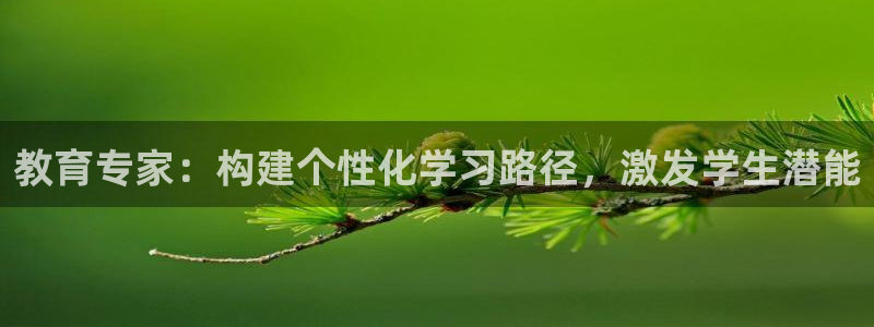 电子游艺jdb变脸