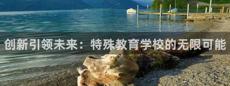 JDB电子游戏花开富贵怎么打