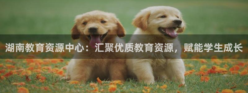 jdb电子游戏平台网站