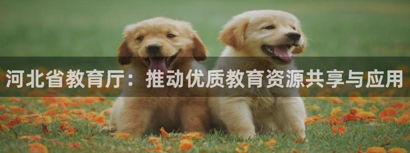 JDB电子中国游戏网站