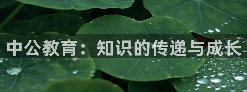 贴吧jdb什么意思