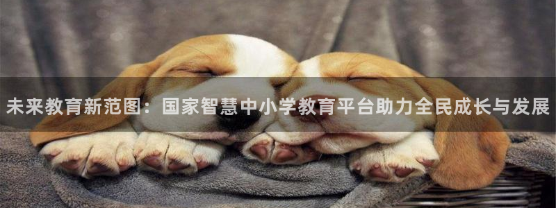 jdb电子平台控制