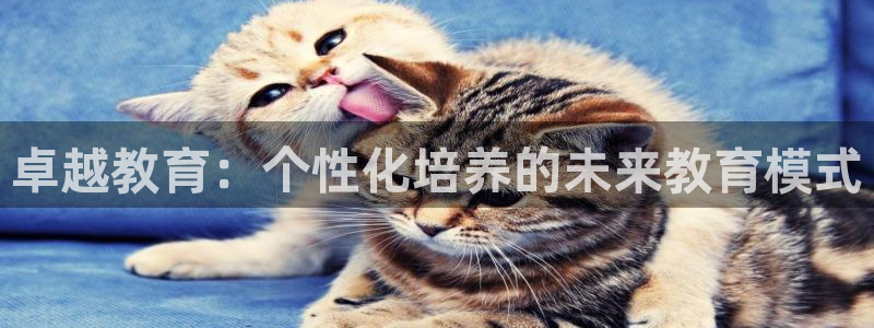 jdb电子大奖