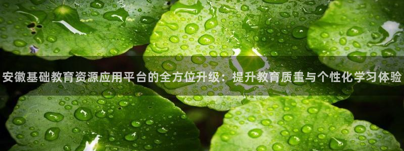 jdb电子游戏辅助器