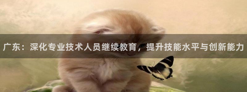 Jdb电子模拟器