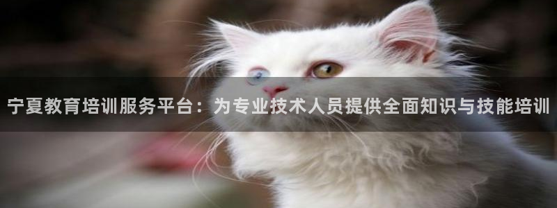 jdb电子游戏排行榜
