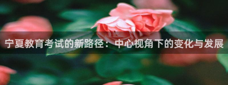 jdb平台是哪个公司