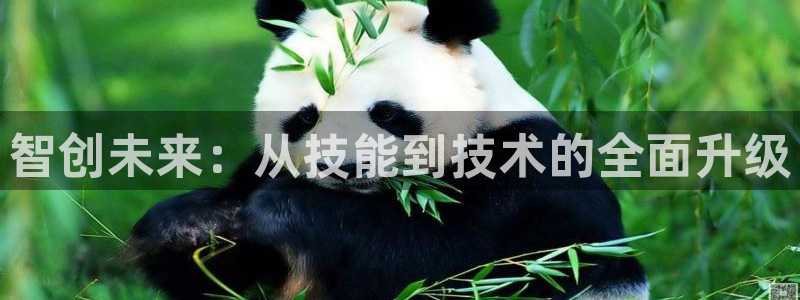jdb电子金刚视频