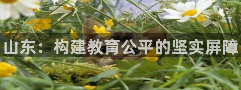 jdb168电子平台下载