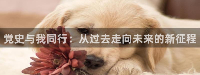 jdb电子可以操控的吗