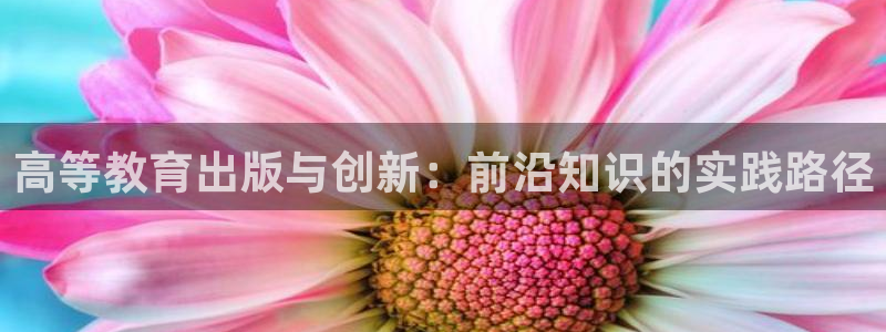 jdb电子什么游戏好玩