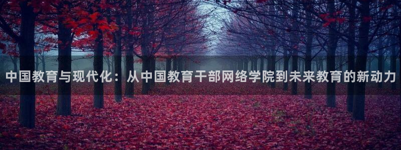 jdb电子平台台湾黑熊