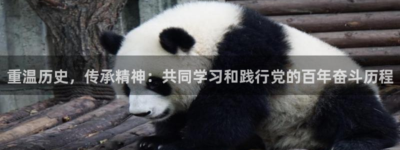 jdb电子哪个游戏容易爆大奖