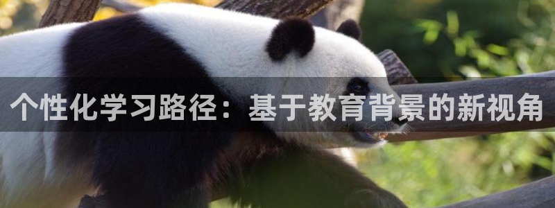 jdb电子平台入c77,tv